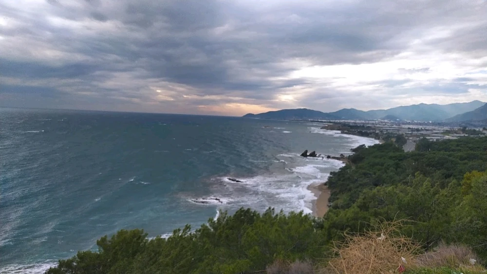 Image uploaded by Mustafa