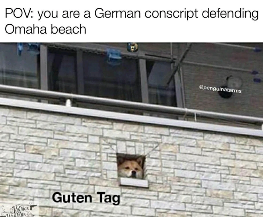 Image uploaded by Nikolas