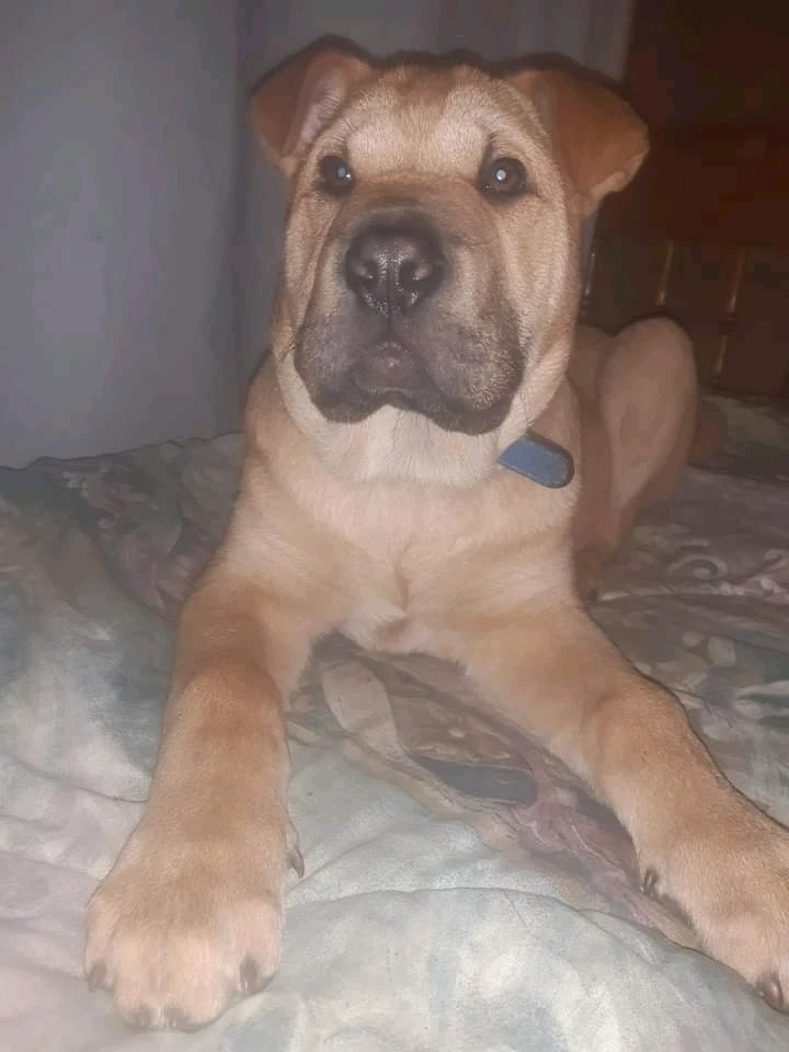 Imagen subida por Matías