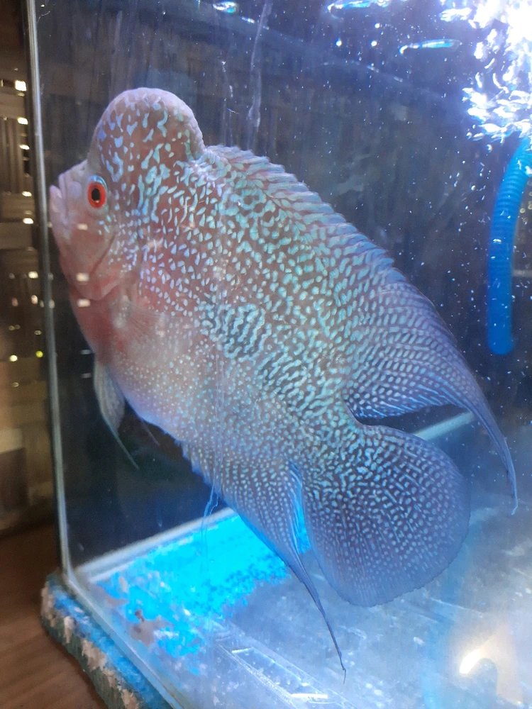 Gambar diunggah oleh Dee