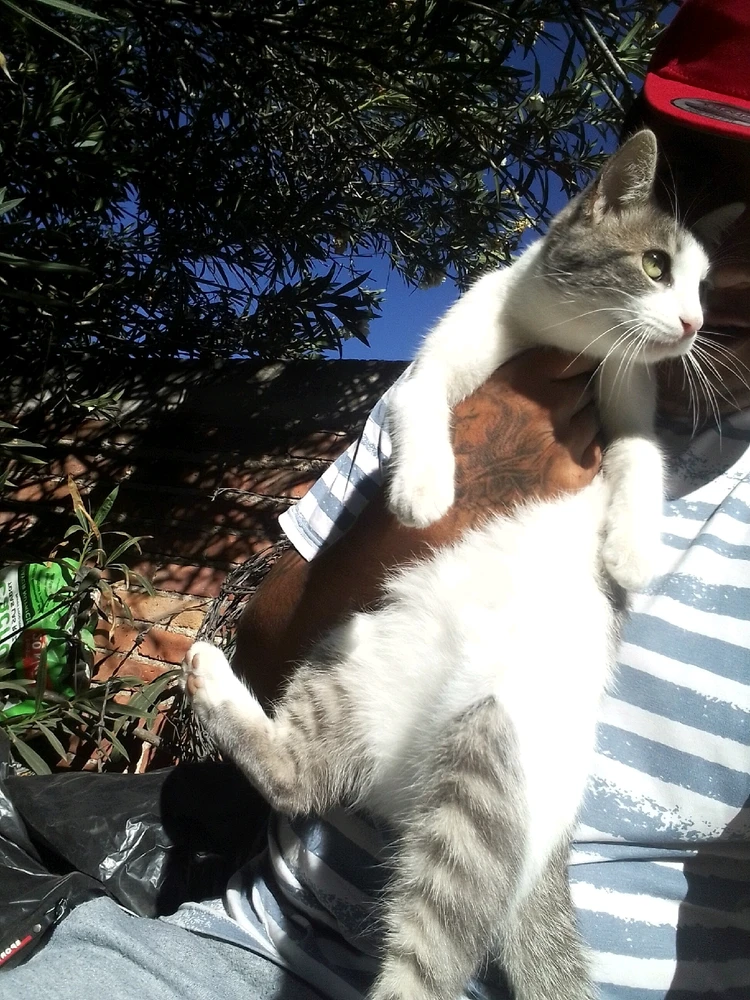 Image uploaded by Juan