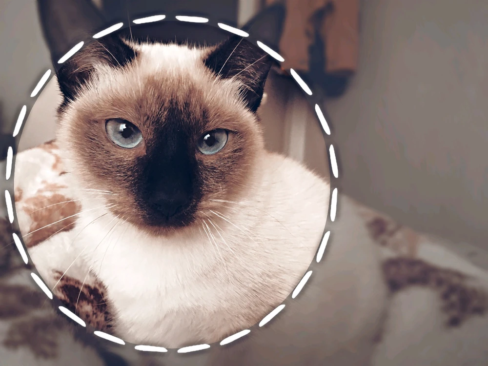 Image uploaded by Nadir