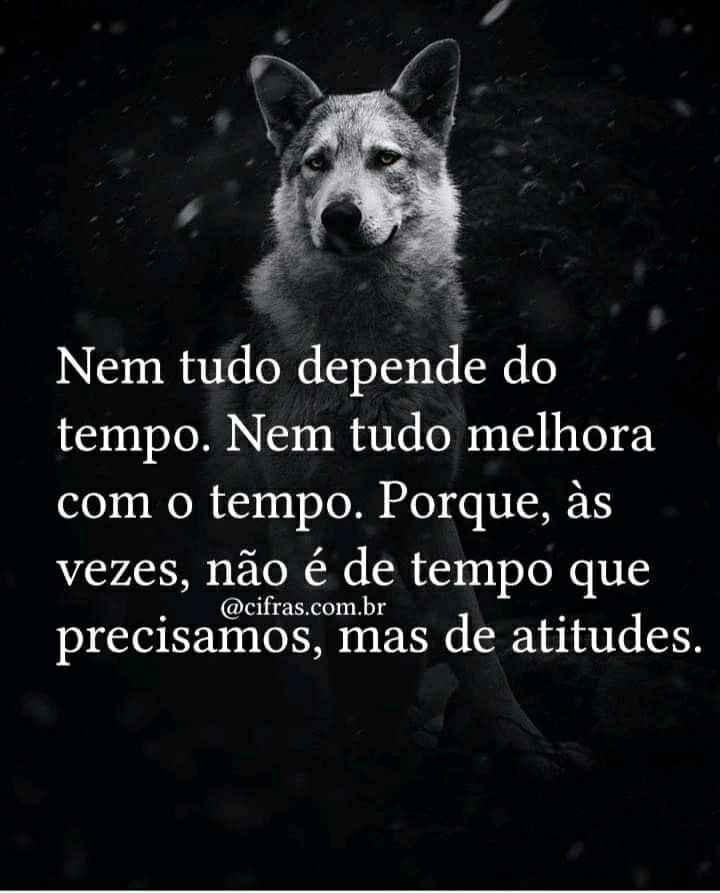 Imagem enviada por Maurício Wolf