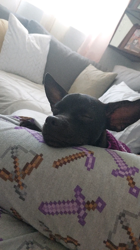 Imagen subida por Lizzy