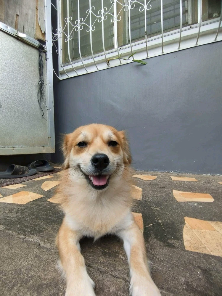 Image uploaded by Henry