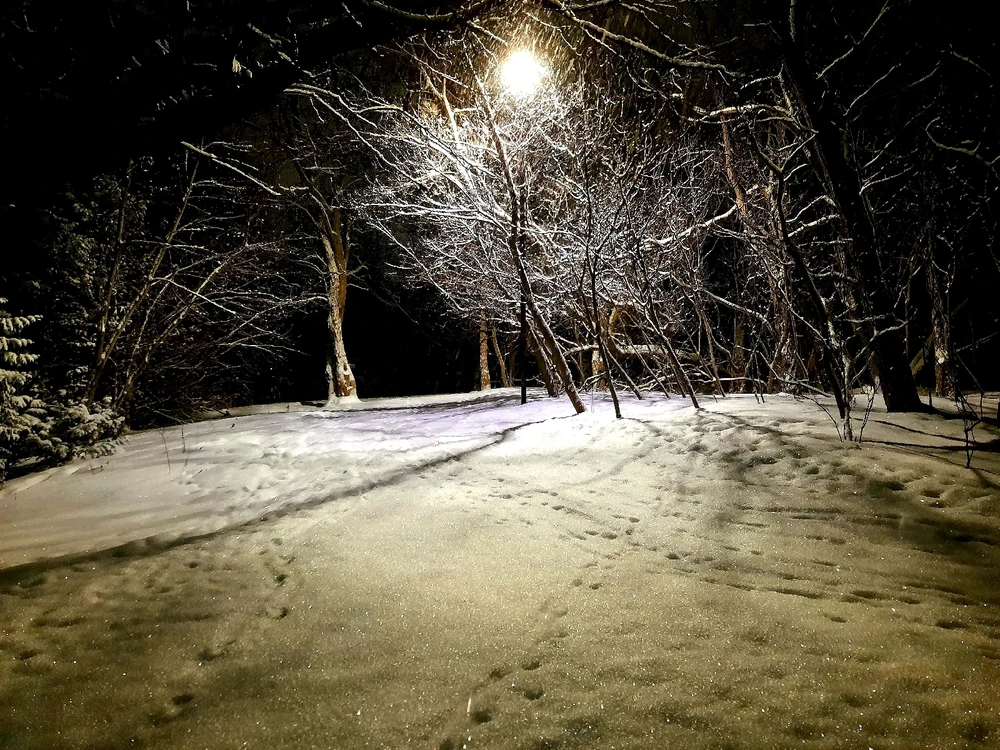 Image uploaded by Braden Kerney