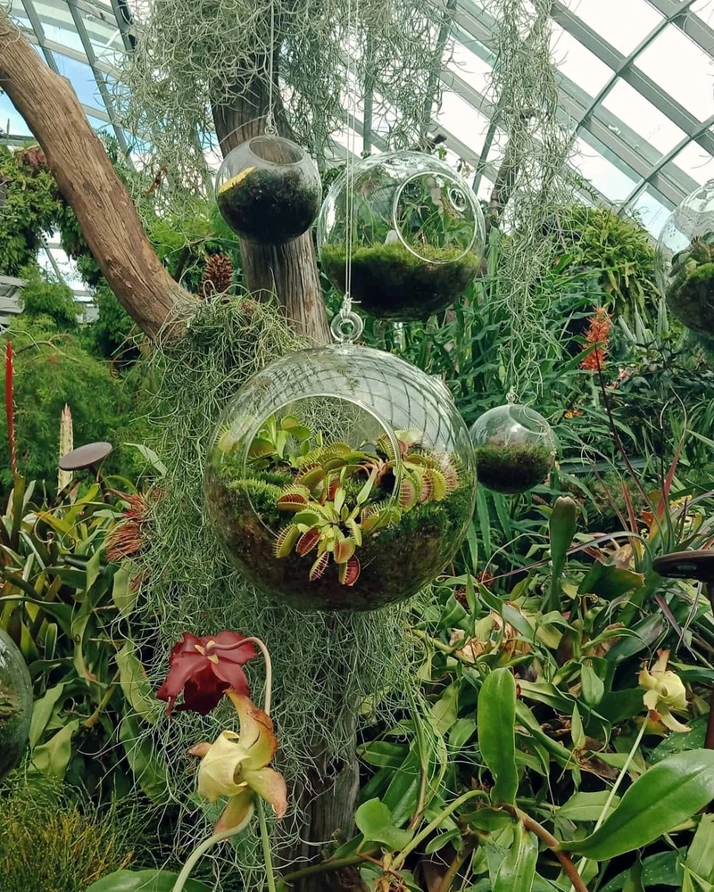 Image uploaded by Nym