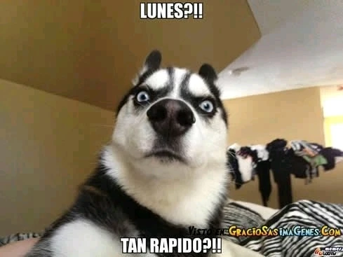Imagen subida por Luis