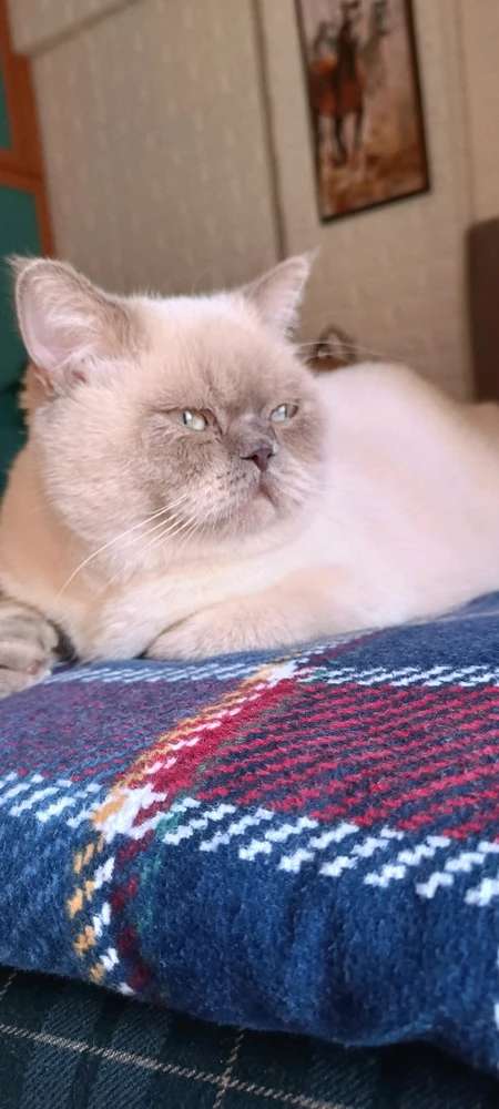 Furkan tarafından yüklenen görsel