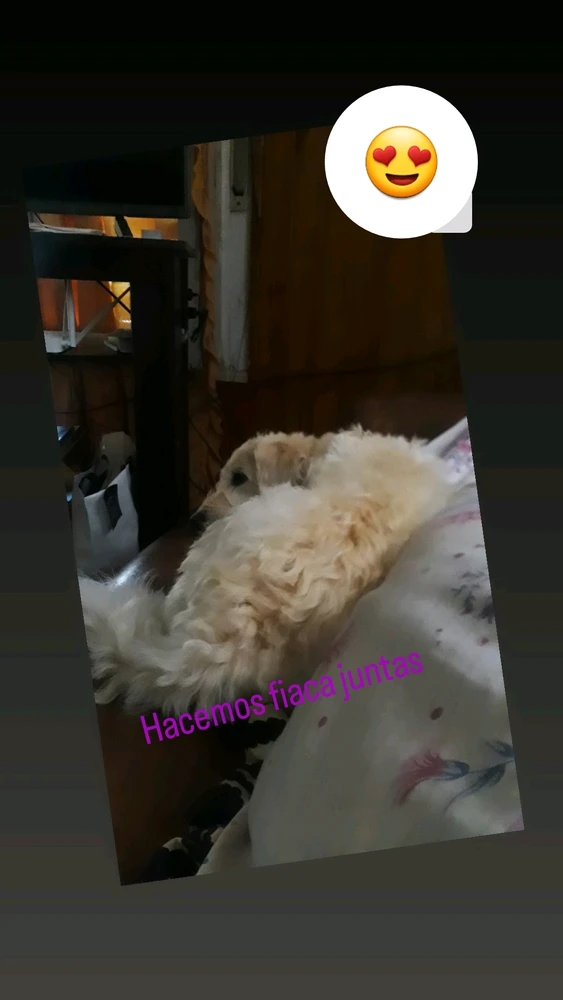 Image uploaded by Vane