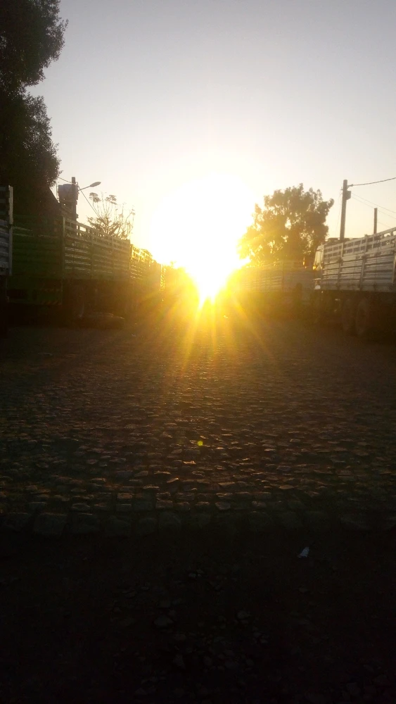 Image uploaded by Hanna