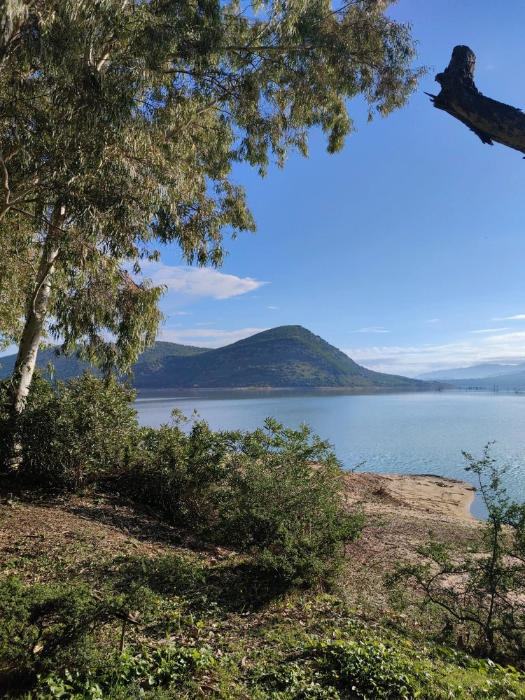 Image uploaded by Malek