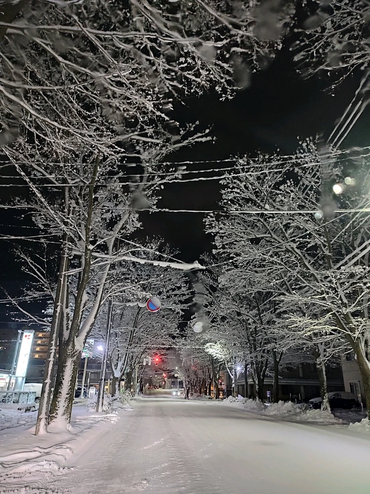 saoriがアップロードした画像