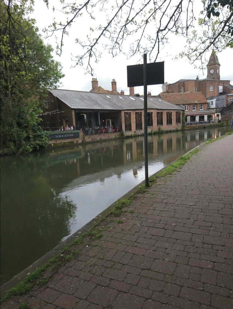 Image uploaded by Grey