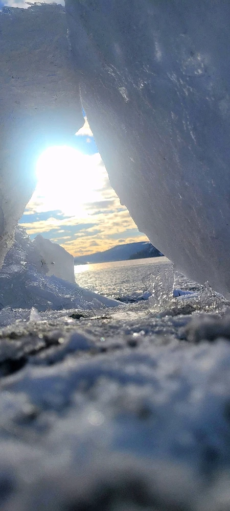 Image uploaded by Jess 🌻