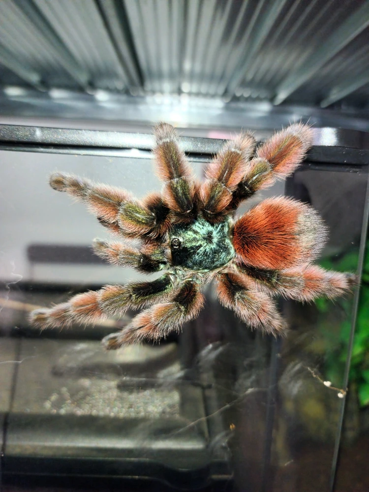 Image uploaded by Almog