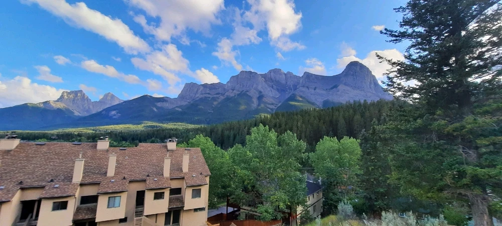 Image uploaded by Braden Kerney