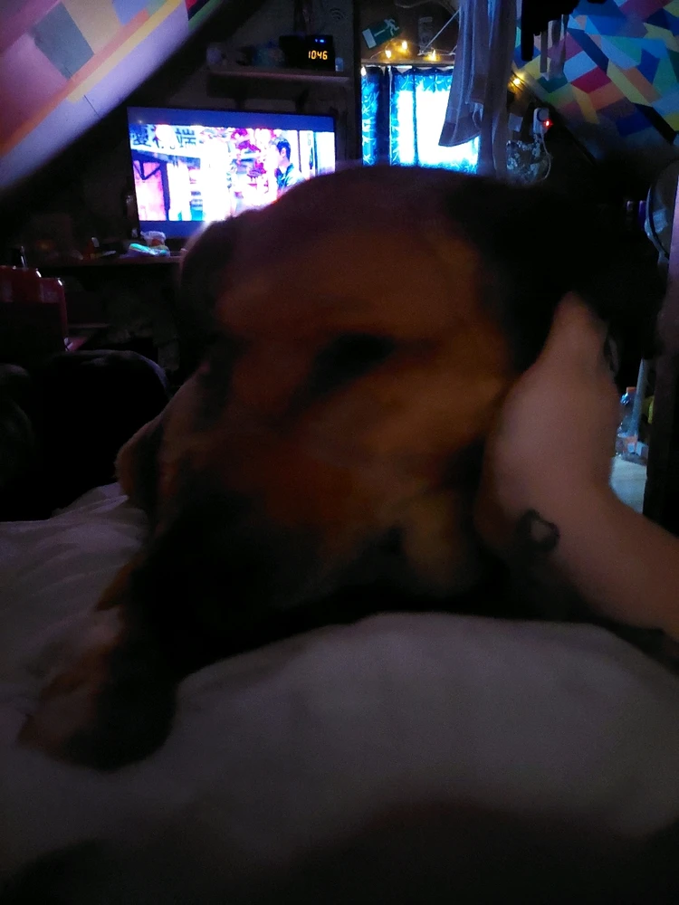 Image uploaded by Andra