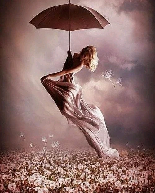 Image uploaded by Elisa