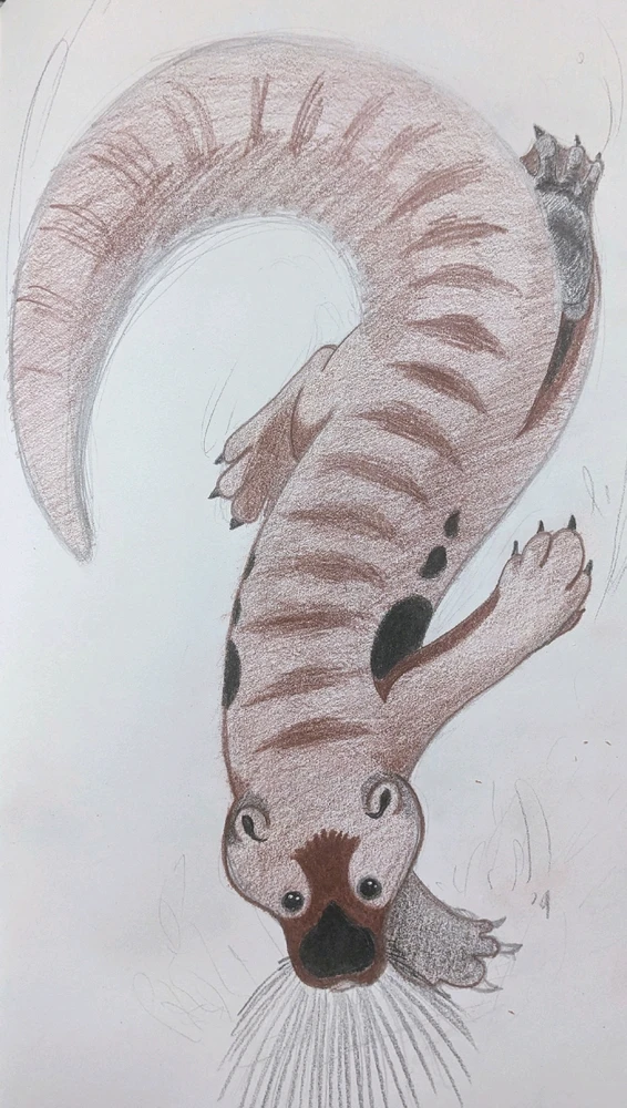 Image uploaded by James