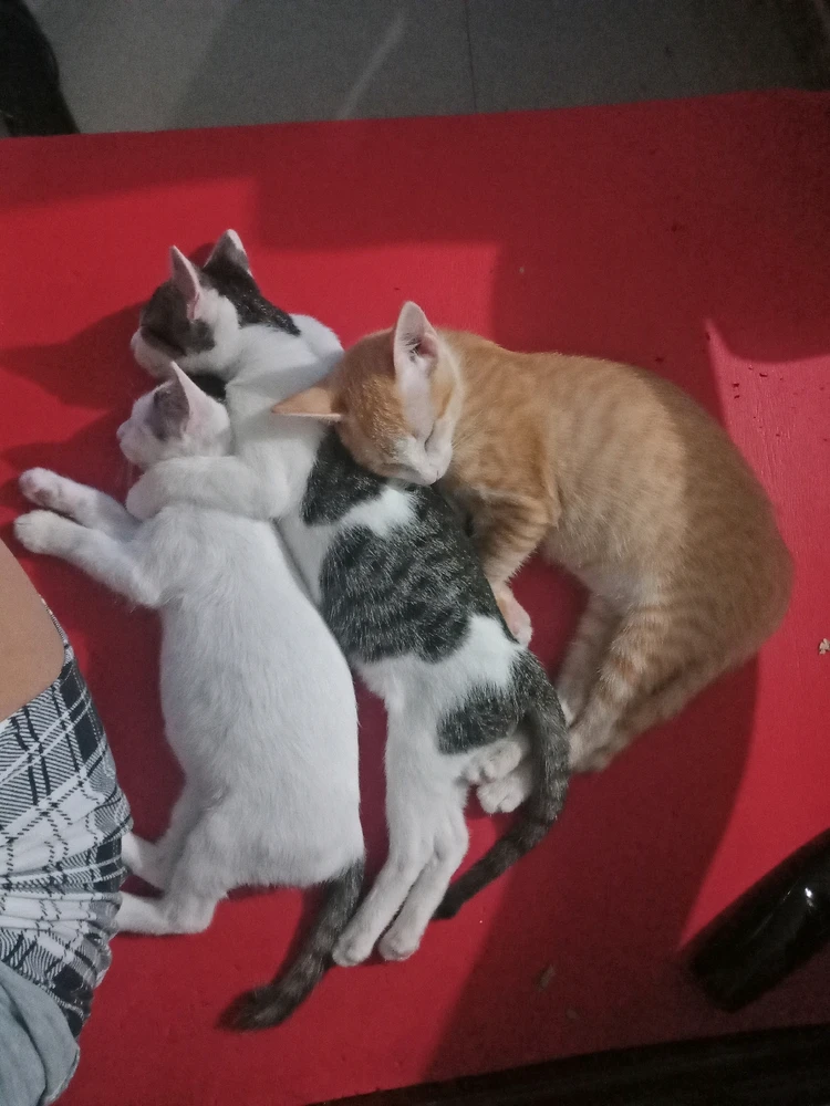 Image uploaded by Rei