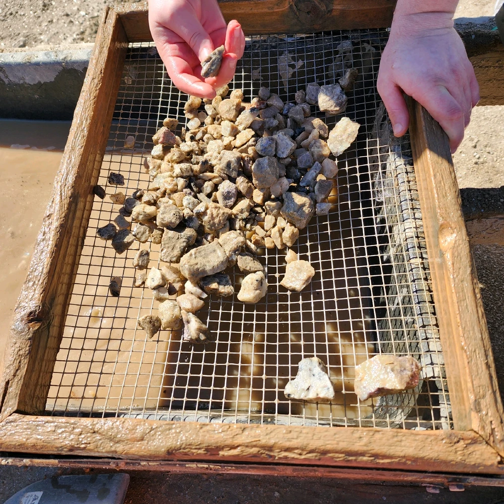 Image uploaded by Casey