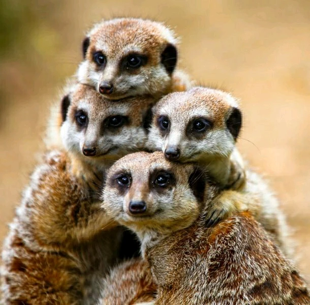 Bild hochgeladen von Johannes