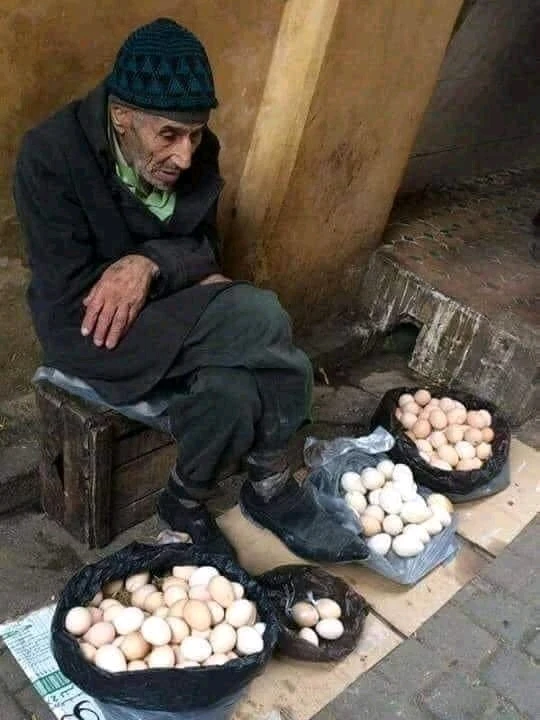 由Anne上传的图片