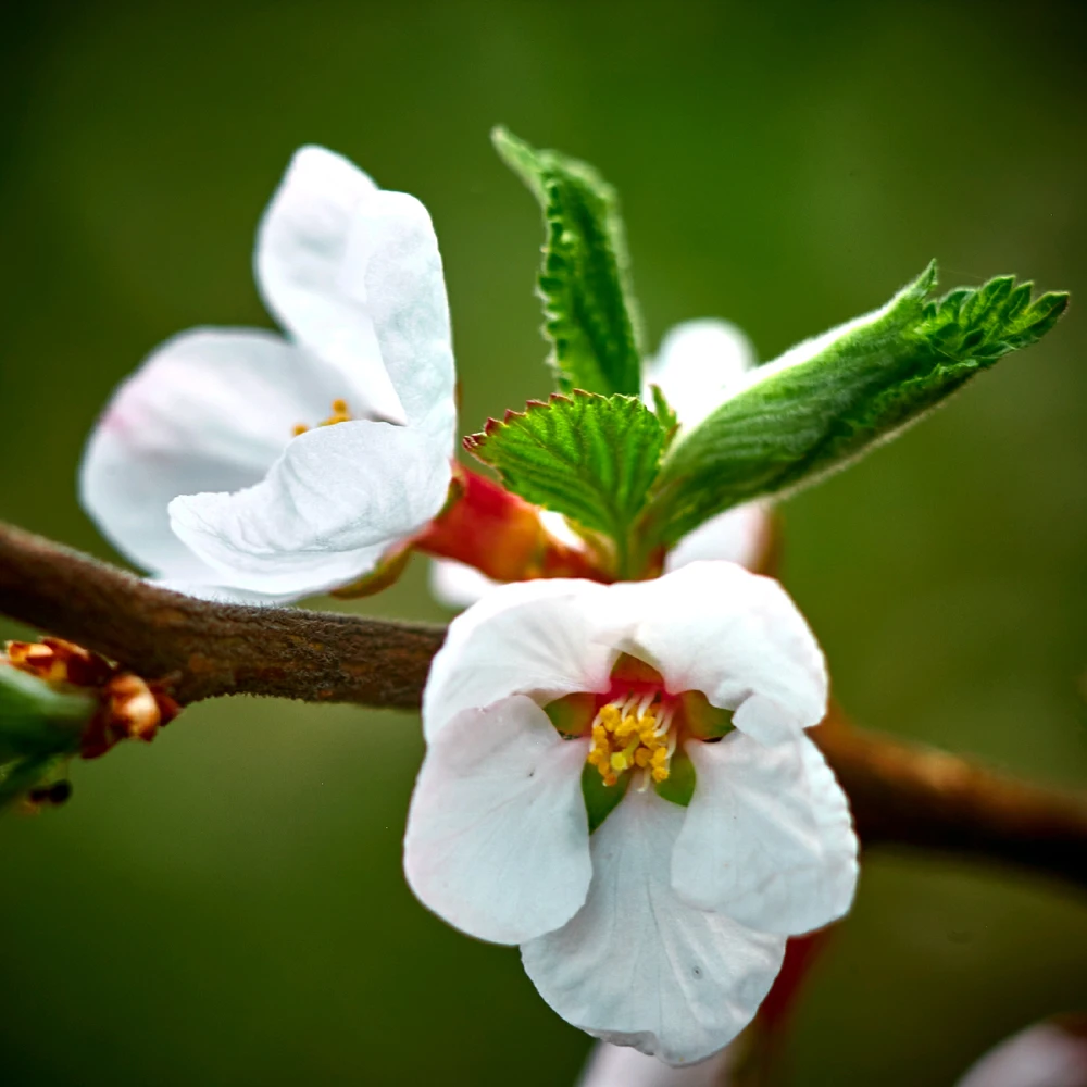 Фото загрузил Владимир
