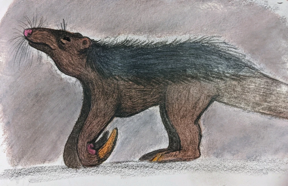 Image uploaded by James