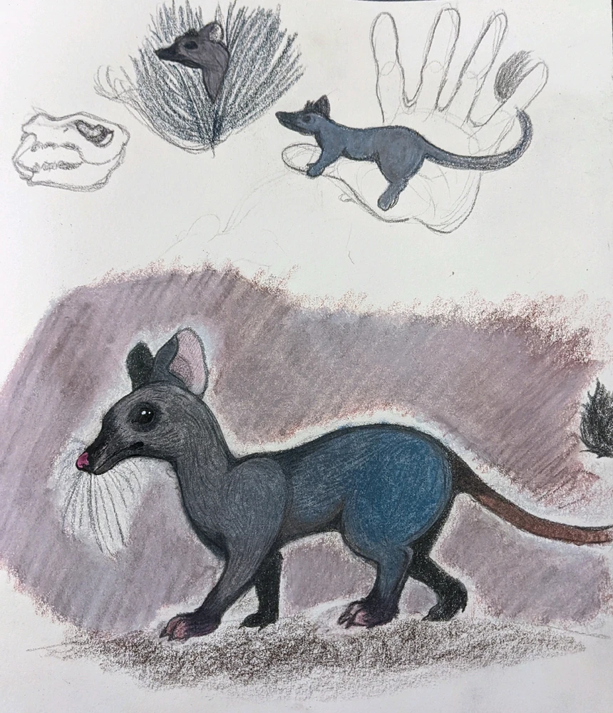 Image uploaded by James