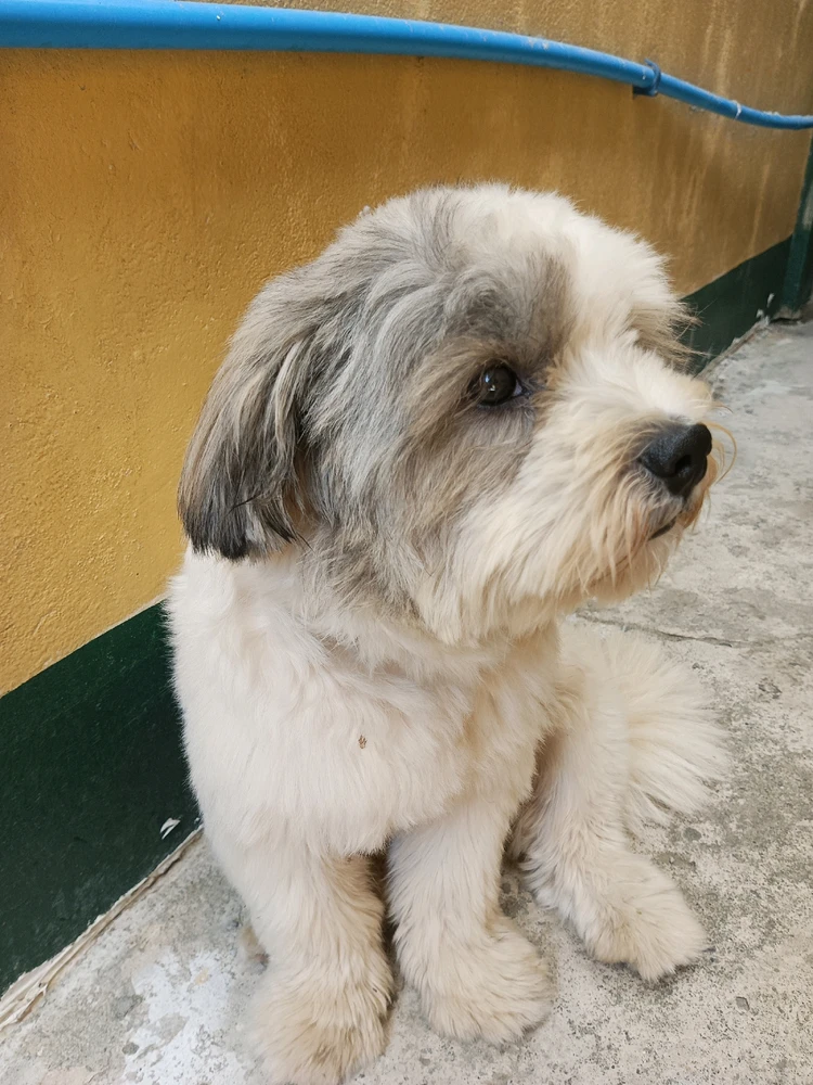 Image uploaded by twinkle