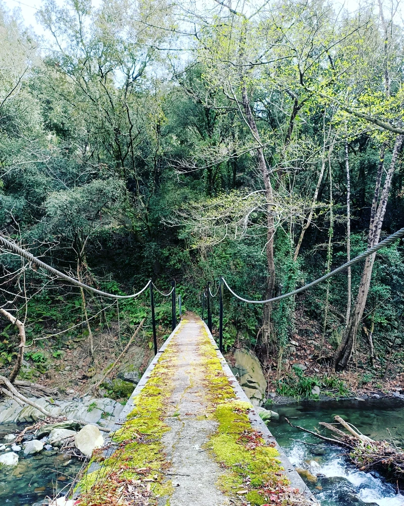 Imatge pujada per Ernest