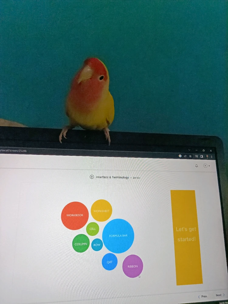 Image uploaded by Khushi Chauhan