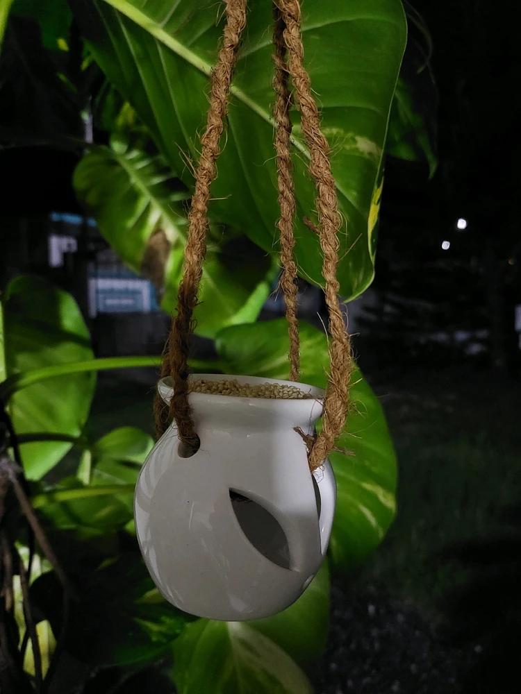 Gambar diunggah oleh Néa
