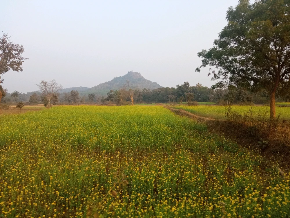 Image uploaded by Santanu kar
