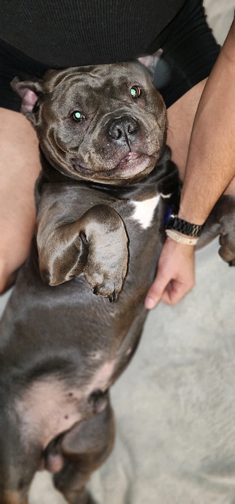 Image uploaded by Michael