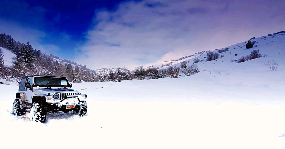 Image uploaded by BeAcH