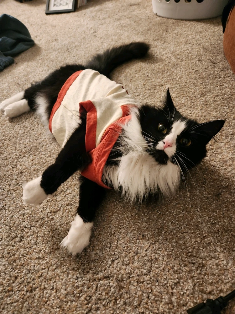 Image uploaded by G