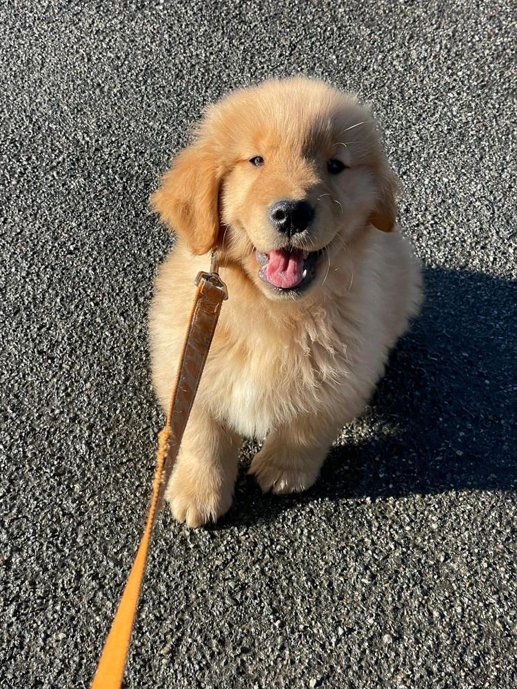 Immagine caricata da Cristian