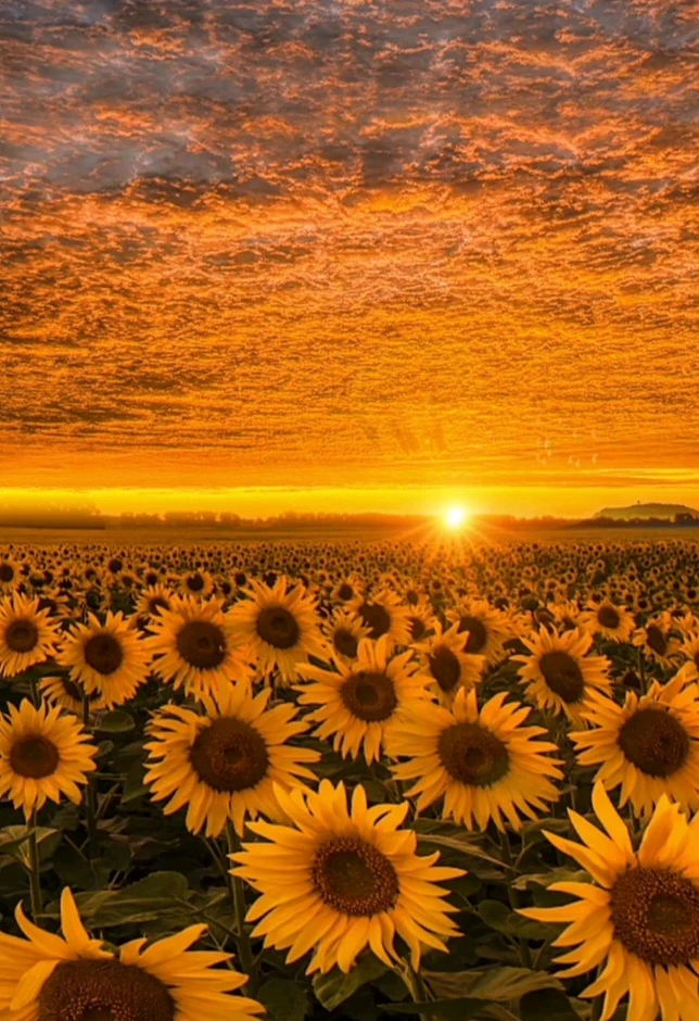 Image uploaded by ♥️ Silly_girl 😘