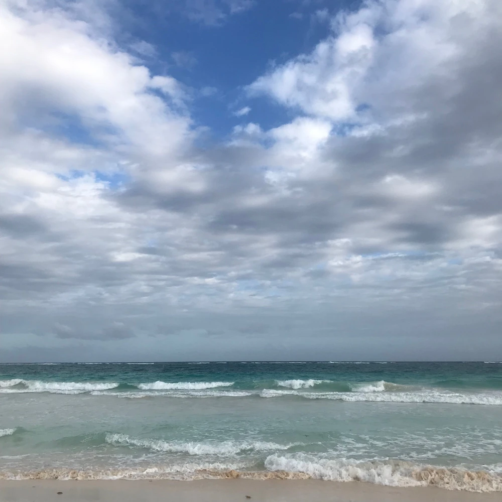 Image uploaded by Aileen