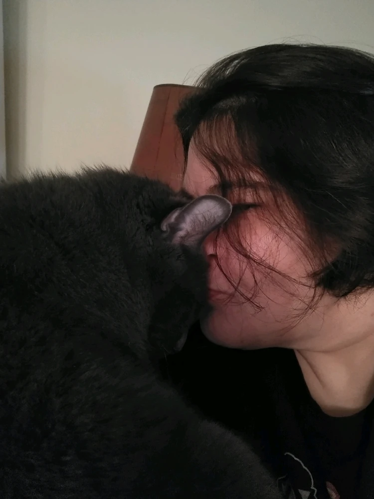 Image uploaded by Bex