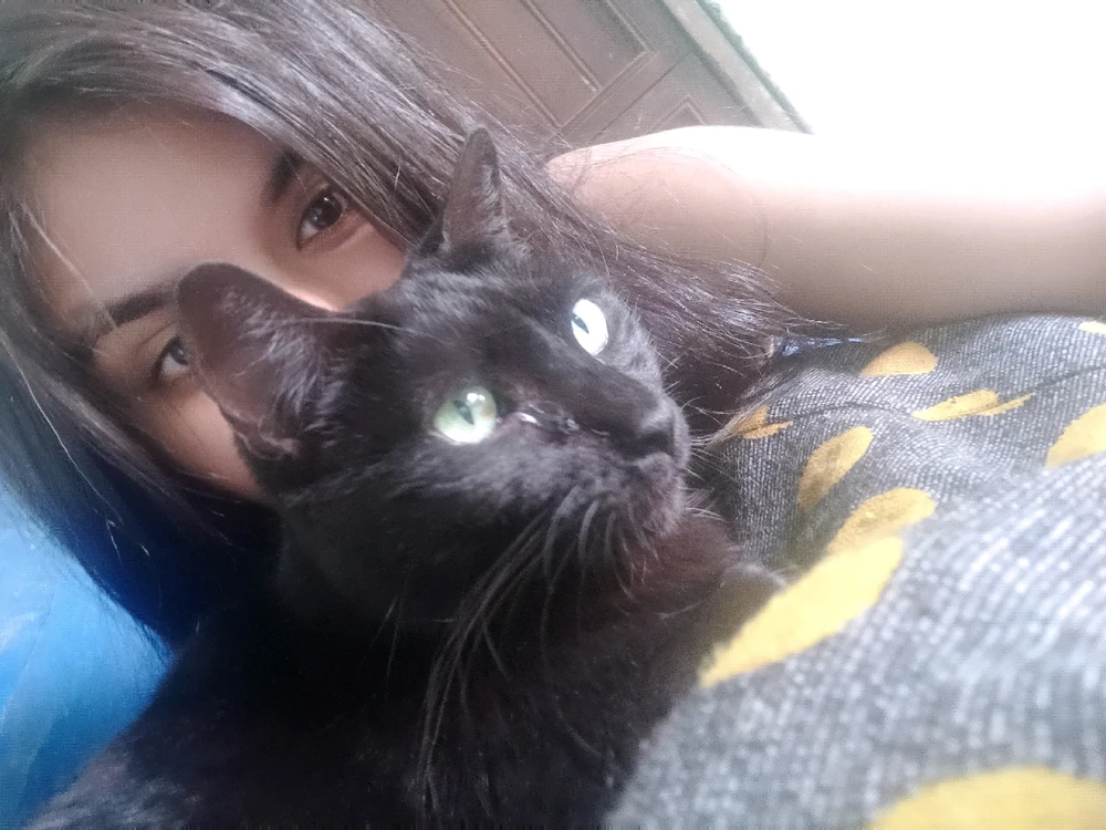 Imagen subida por Deb