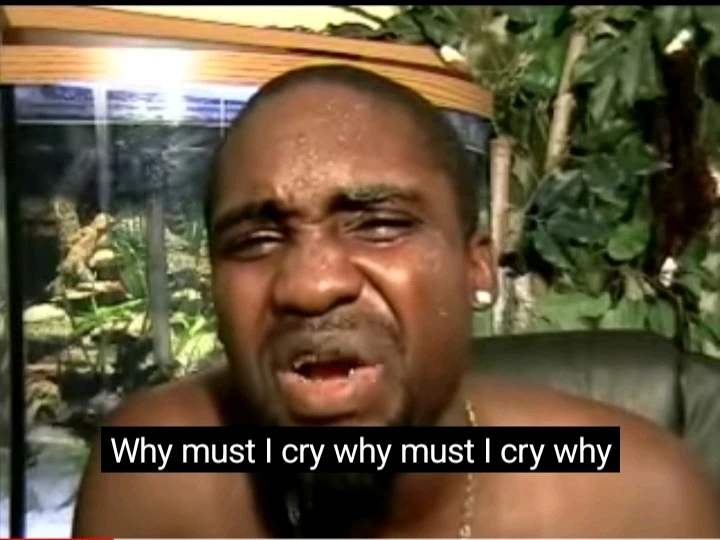 Image uploaded by Beatriz