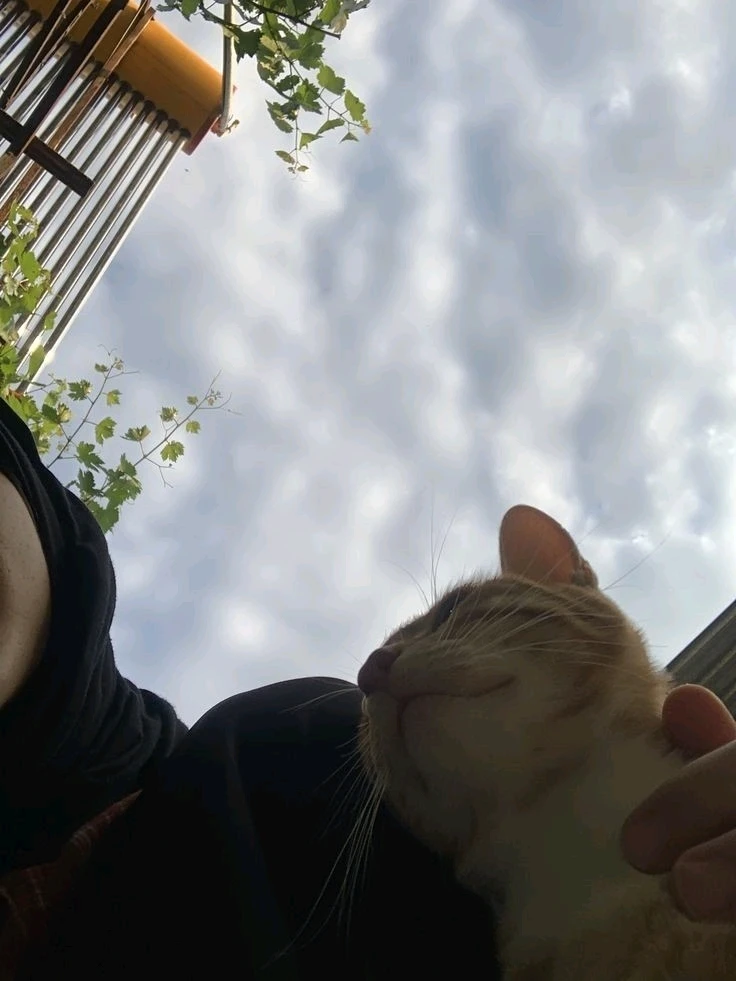 Bilde lastet opp av Lily