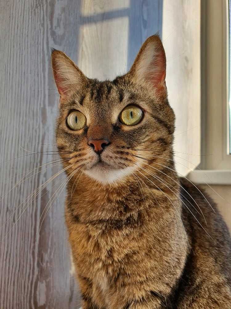 Фото загрузил Alex