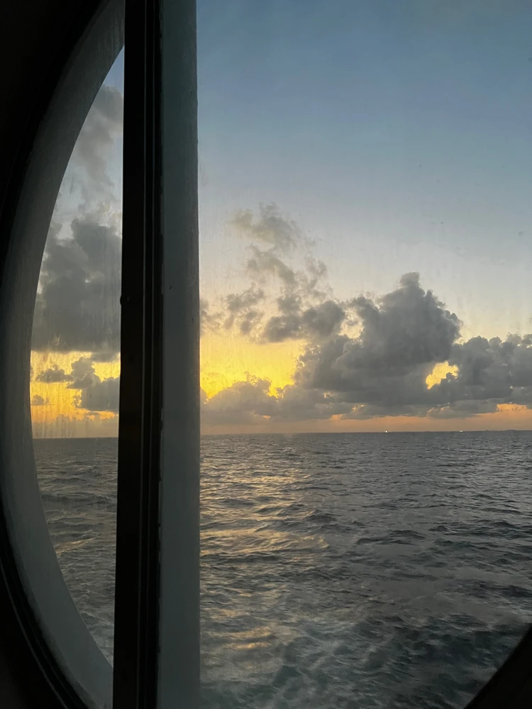 Image uploaded by Aman