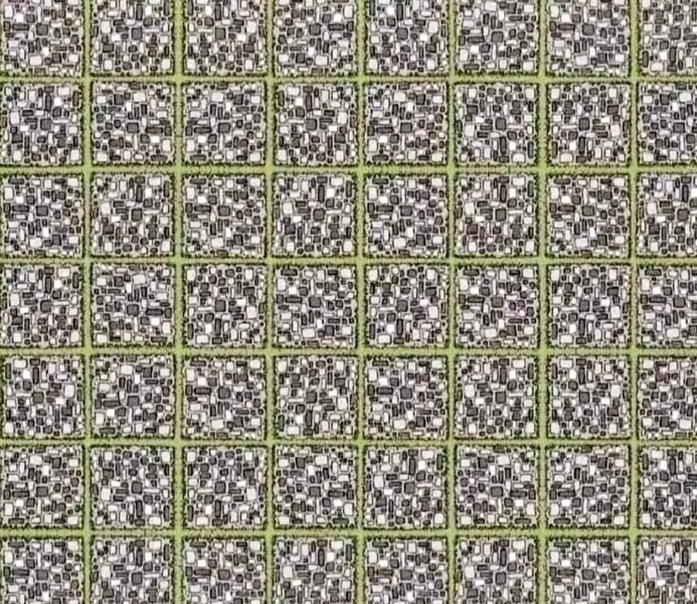 Image uploaded by Eli