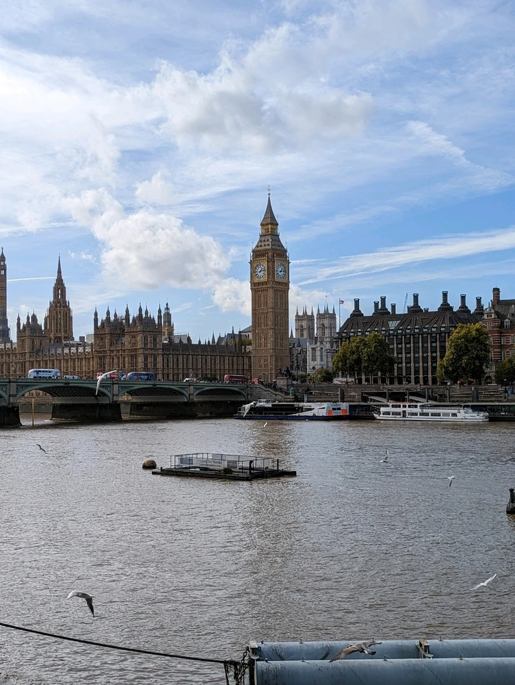 Image uploaded by Grey